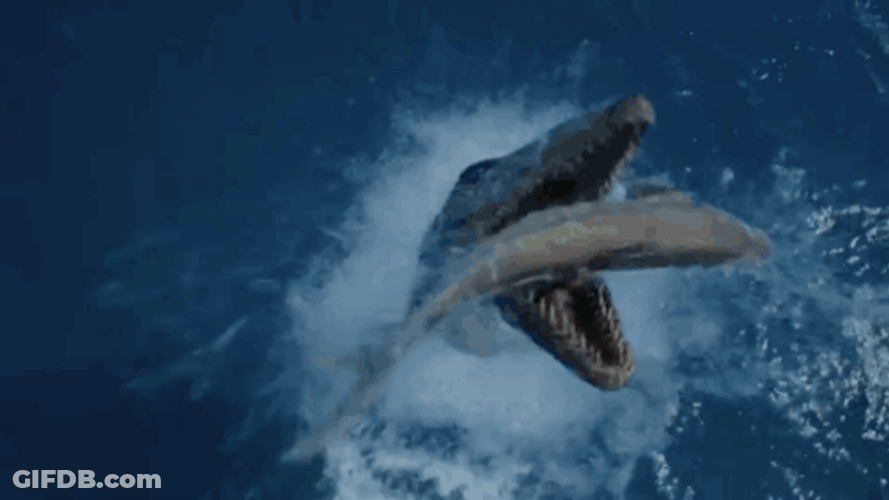 Sea Mosasaurus Monster GIF