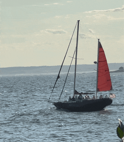 Sea Ocean GIF