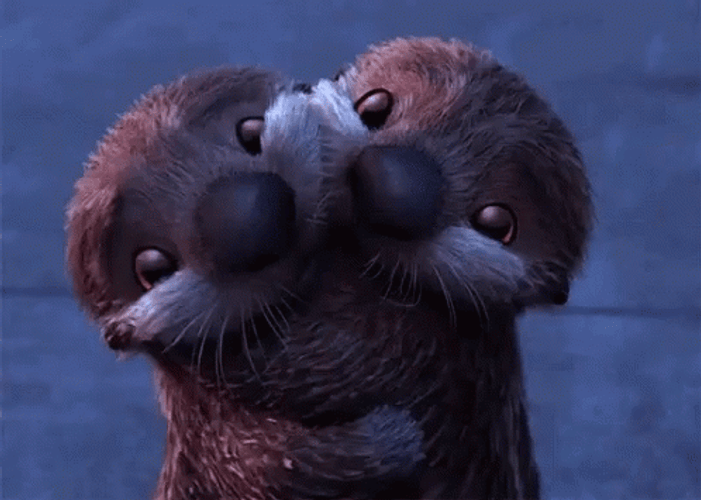 Sea Otters Hug GIF