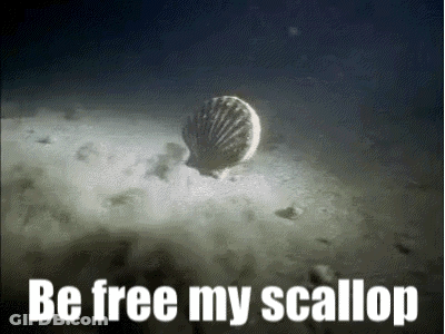 Sea Shell Floating Saying Be Free My Scallop GIF