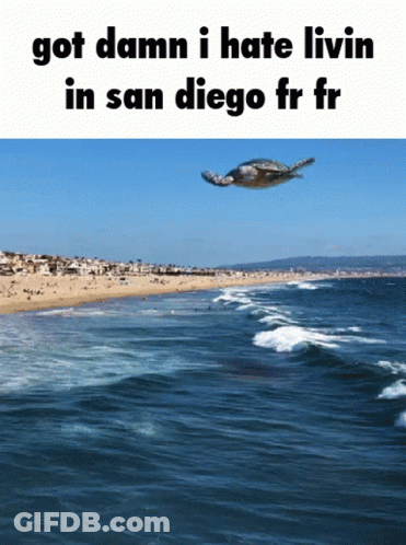 Sea Turtle Flying Over Ocean Saying Got Damn I Hate Livin In San Diego GIF