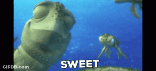 Sea Turtle Swimming Ocean Sweet GIF