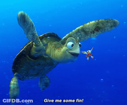 Sea Turtle Swimming With Give Me Some Fin GIF