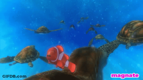 Sea Turtles And Clown Fish With Magnate GIF