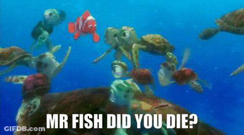 Sea Turtles And Fish Swimming Mr Fish Did You Die GIF