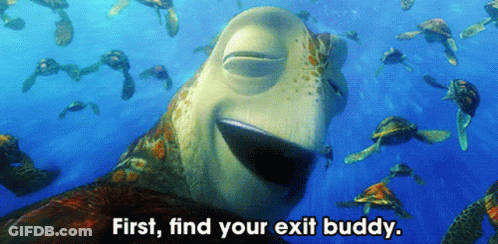 Sea Turtles First Find Your Exit Buddy GIF