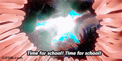 Sea Turtles Swimming Around Blue Fish GIF