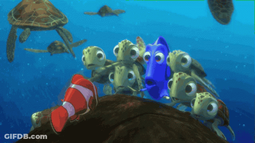 Sea Turtles Swimming Around Blue Fish GIF