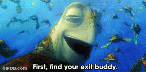 Sea Turtles Swimming First Find Your Exit Buddy GIF