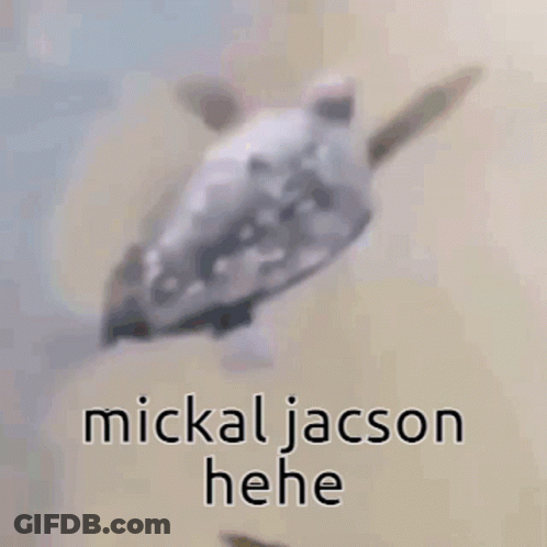 Seagull Flying Over Sandy Beach Saying Mickal Jacson Hee GIF