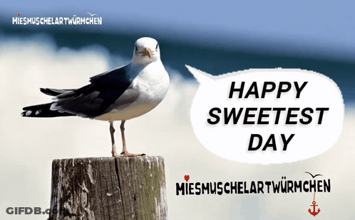 Seagull On Wooden Post With Sweetest Day Speech Bubble GIF