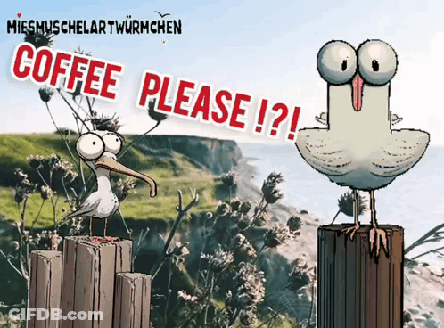 Seagull Standing On Post Saying Coffee Please GIF