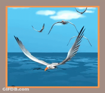 Seagulls Flying Over Blue Ocean GIF
