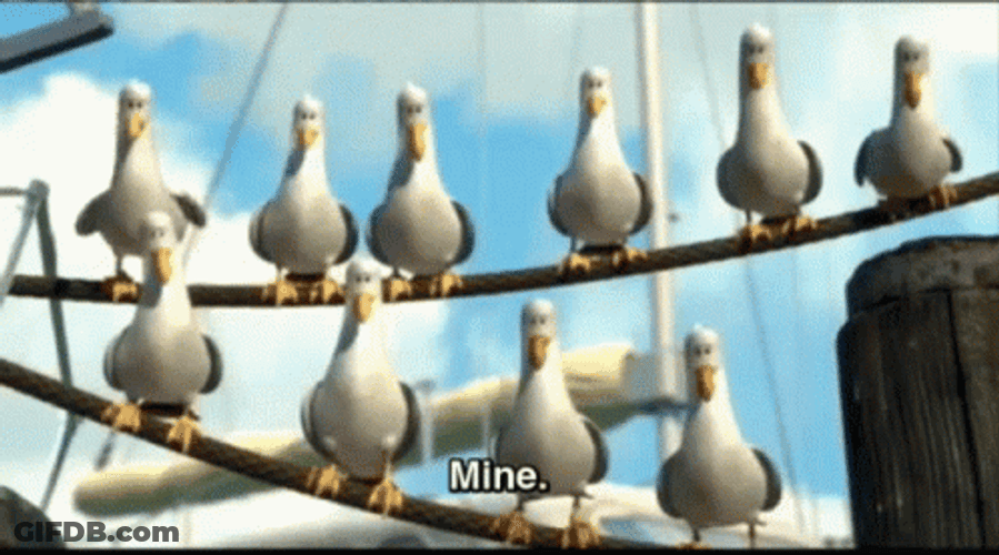 Seagulls In Pole Line Mine Finding Nemo GIF