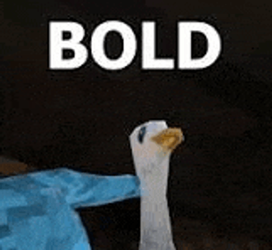 Seagulls Meme GIF