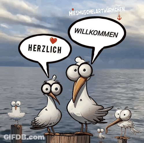 Seagulls On Dock Saying Herzlich Willkommen GIF