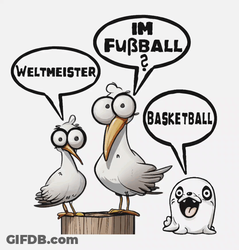 Seagulls Saying Fussball Weltmeister And Basketball GIF