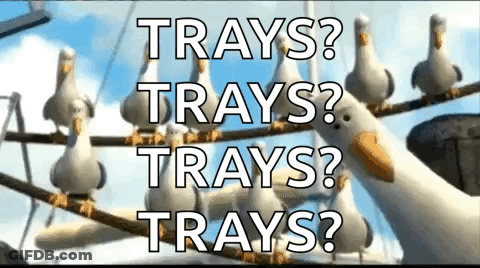 Seagulls Sitting On A Wire With The Words Trays Trays Trays GIF