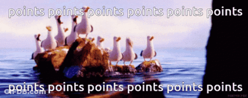 Seagulls Standing On Rock Saying Points Points Points GIF