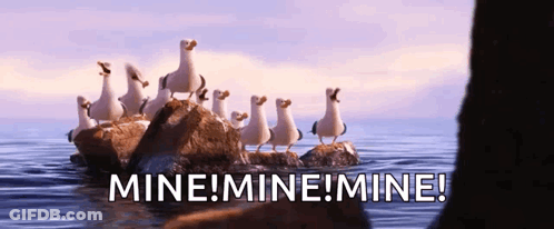 Seagulls Standing On Rocks Shouting Mine GIF