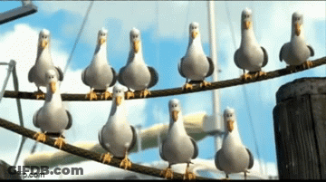 Seagulls Standing On Wire With Flip.com GIF