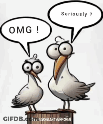 Seagulls Talking Omg GIF
