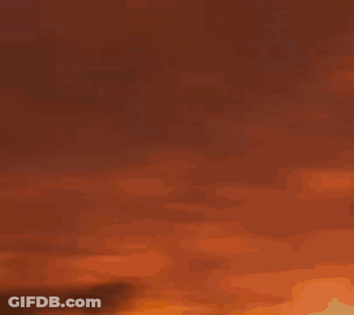 Seahawks Helmet Have A Super Day On Green Background GIF