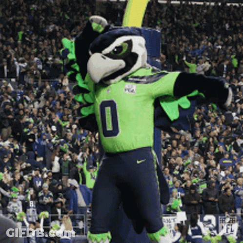 Seahawks Mascot In Front Of Crowd GIF