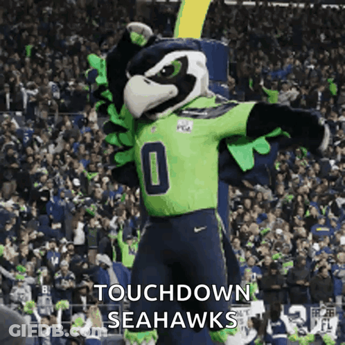 Seahawks Mascot In Front Of Crowd GIF