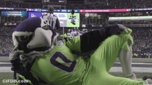 Seahawks Mascot Laying On Field With Referee GIF