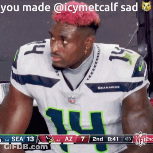 Seahawks Player With Pink Hair In Stands GIF