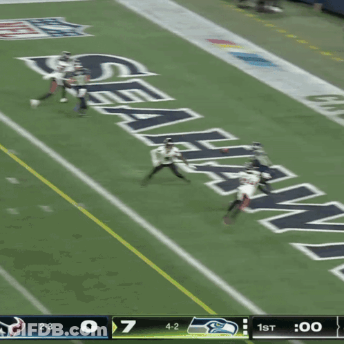 Seahawks Vs Heat Football Game GIF