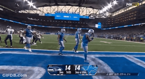 Seahawks Vs Lions Football Game GIF