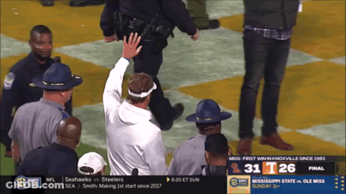 Seahawks Vs Steelers Football Game GIF