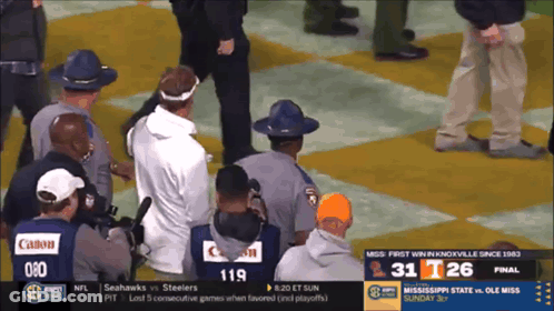 Seahawks Vs Steelers Game GIF