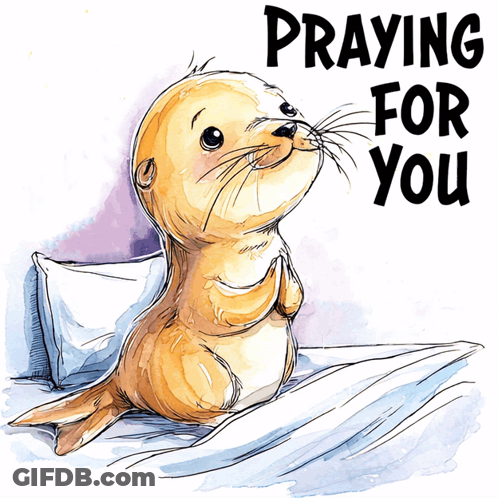 Seal Drawing Saying Praying For You GIF