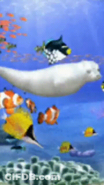 Seal Evil Words YouTube GIF