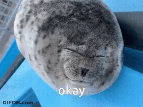 Seal Eyes Closed Saying Okay GIF