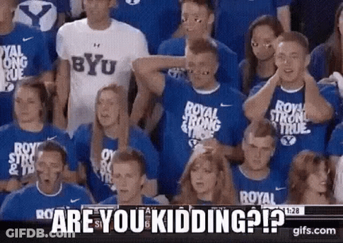 Seal Forced To Eat Cal Dinner GIF