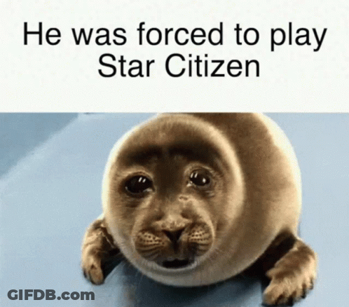 Seal Forced To Play Star Citizen GIF