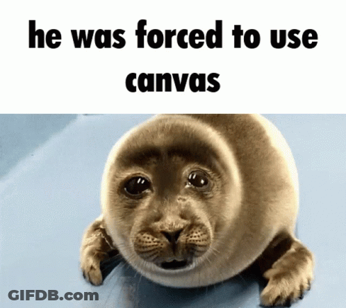 Seal He Was Forced To Use Canvas GIF