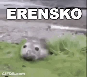 Seal Hiding In Grass Saying Erensko GIF