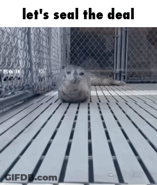 Seal In Cage Saying Let's Seal The Deal GIF