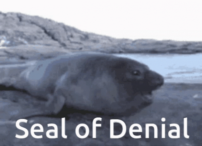 Seal Of Denial Screaming In Wild GIF
