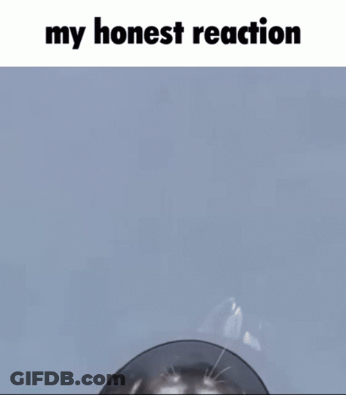 Seal GIF