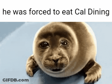 Seal Saying He Was Forced To Eat Cal Dinner GIF