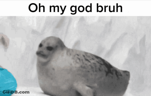 Seal Saying Oh My God Bruh GIF