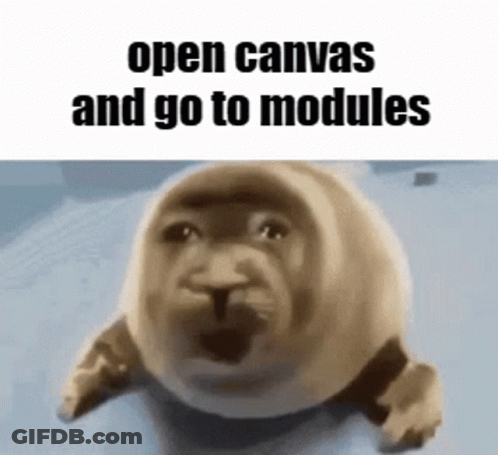 Seal Saying Open Canvas And Go To Modules GIF