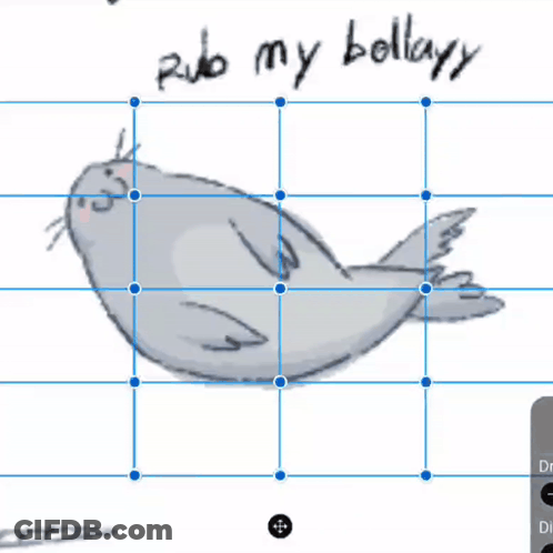 Seal Saying Rub My Bollary GIF