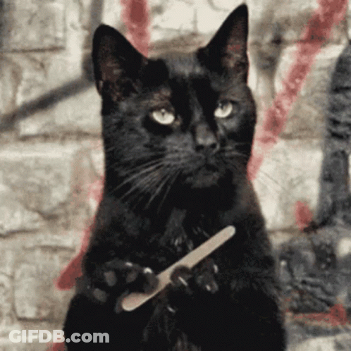 Seal Sitting On Floor Saying Gimme GIF